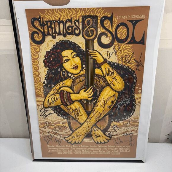 Strings and Sol Signed Poster 2014 A Cloud 9 Adventures Framed 236/900 18x24